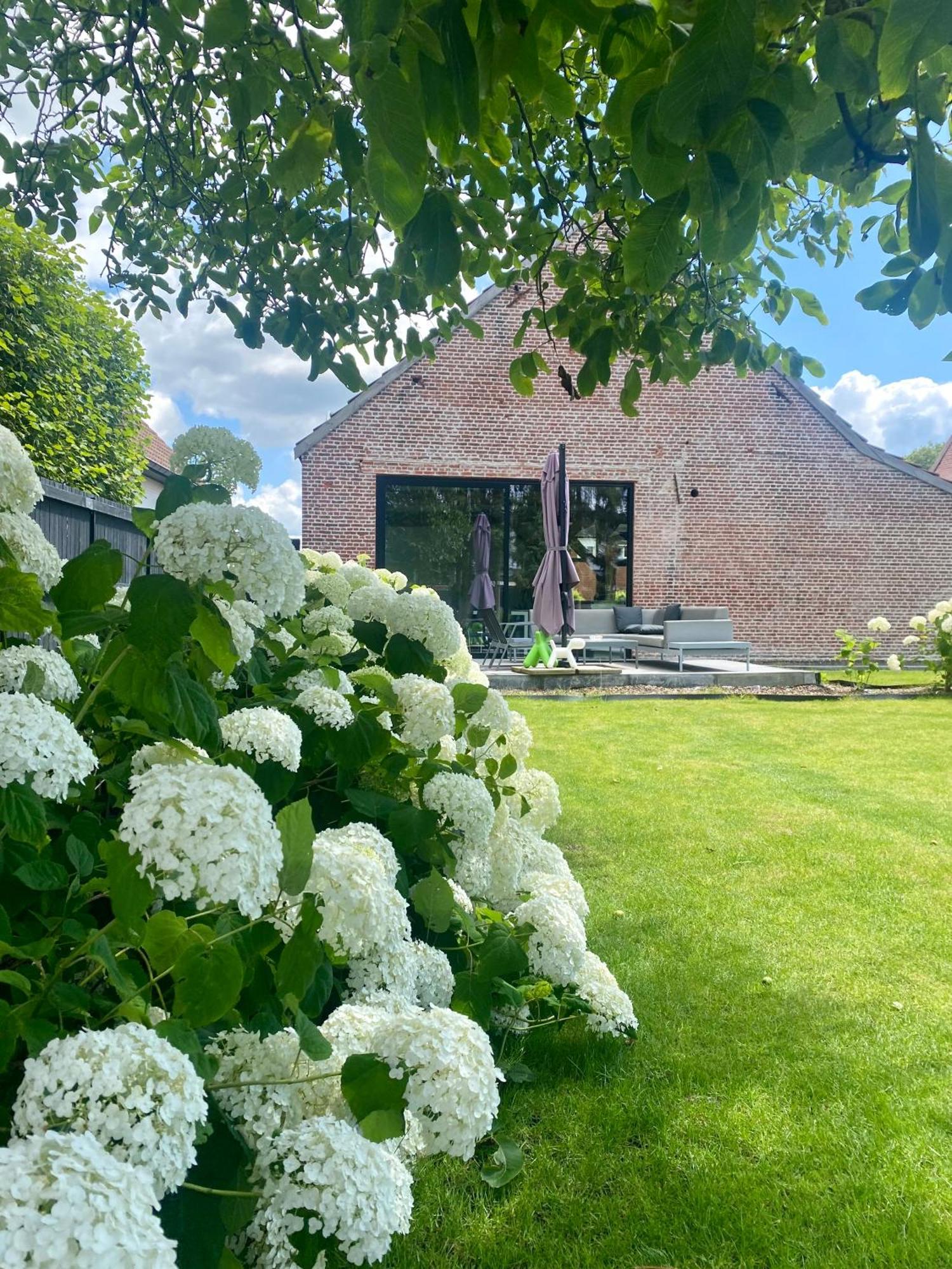 Hoeve De Kleinheide Dessel Exteriör bild