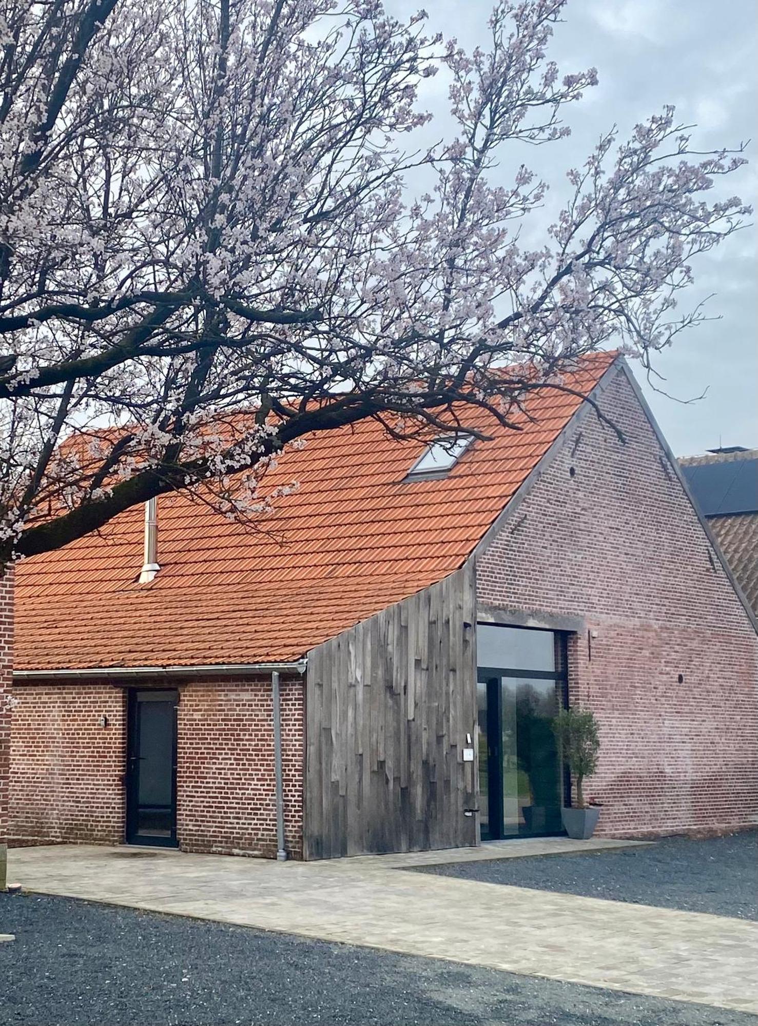Hoeve De Kleinheide Dessel Exteriör bild